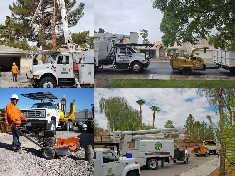 Affordable Tree Service