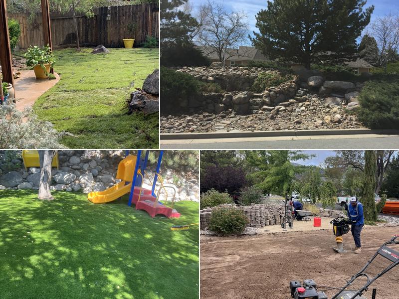 The Four Winds tree and landscape design