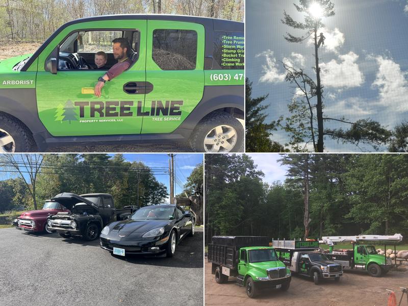 Tree Line Property Services LLC.