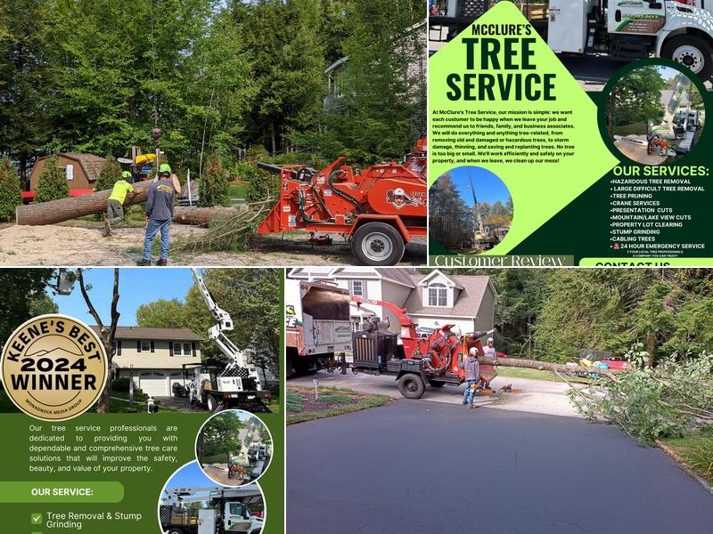 McClure's Tree Service