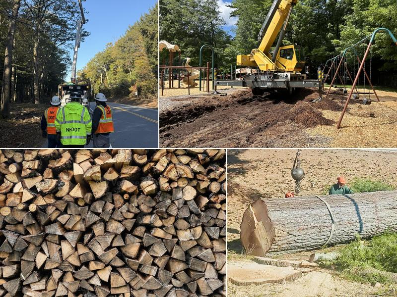 Robblee Tree Services LLC