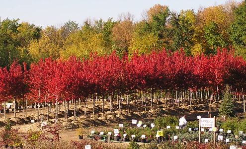 Knecht's Nurseries & Landscaping