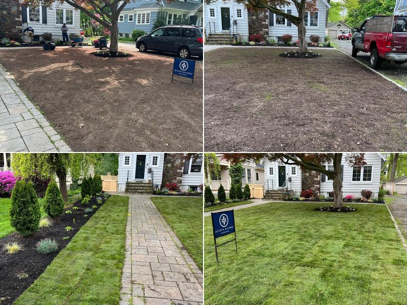 Blue Pine Snow and Landscaping