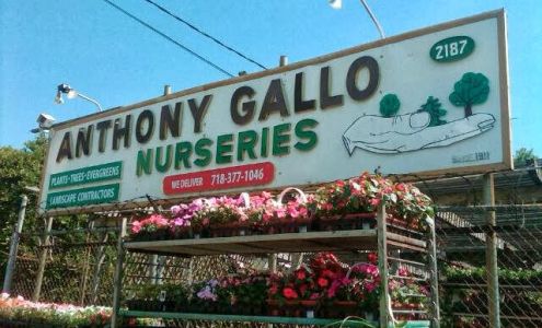 Anthony Gallo Landscaping & Nursery