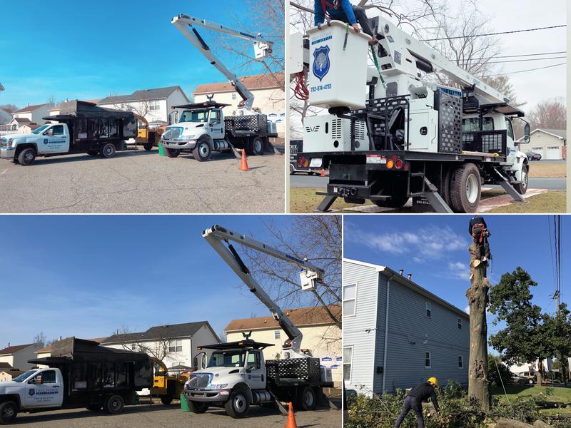 Tree Patrol Tree Service