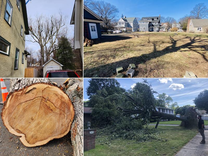 J&L Budget Tree Service, LLC