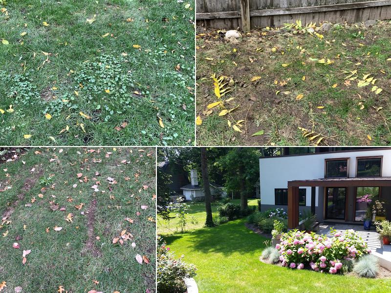 Waterfall Landscaping Inc