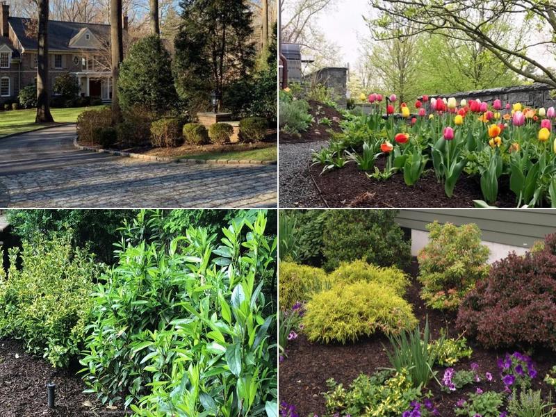 Allan Bellezza Contracting LLC