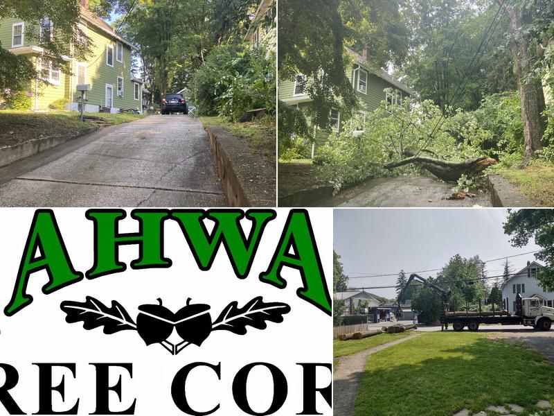 Mahwah Tree Corporation
