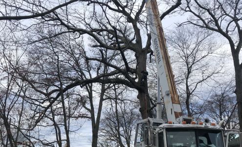 Vivar Tree Services 149 Demarest Ave., Hillsdale New Jersey 07642