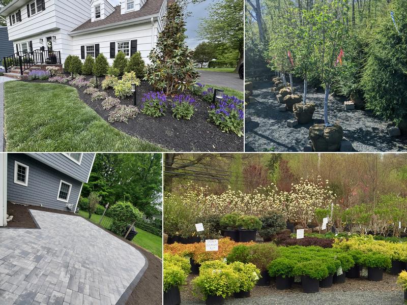 Truesdale Nursery & Landscape Services