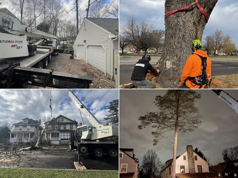 Prestige Tree Service