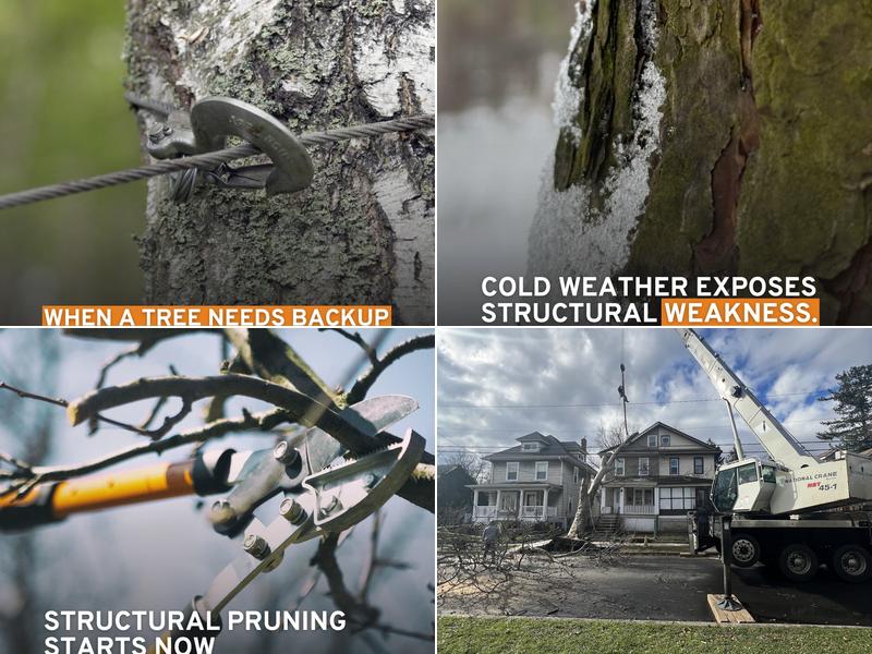Prestige Tree Service