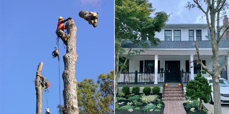 TIELIS TREE SERVICE AND LANDSCAPING