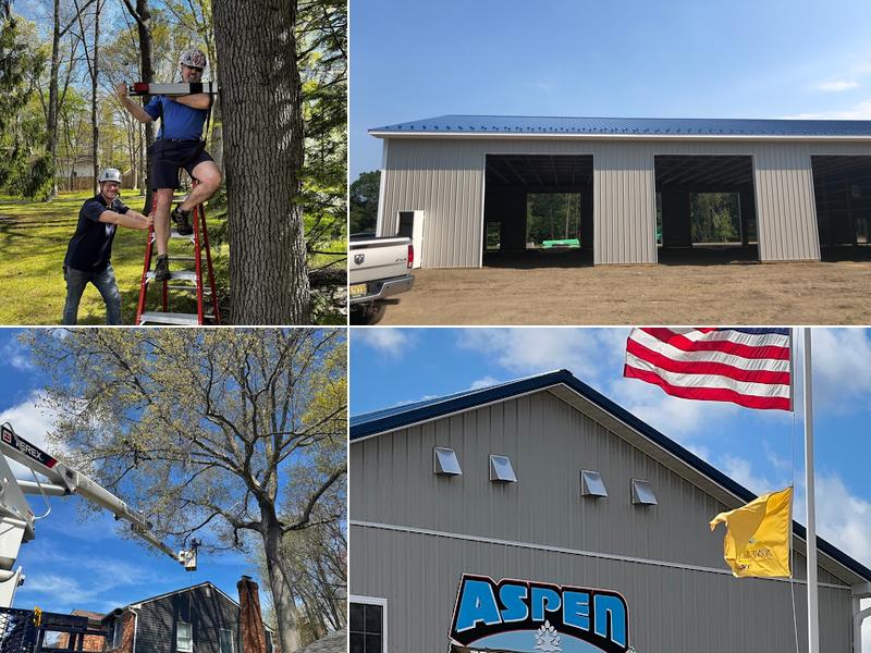 Aspen Tree Expert Co., Inc.