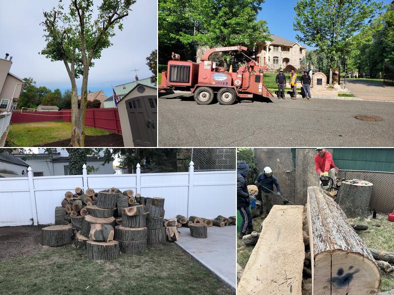 BJS Tree Service LLC