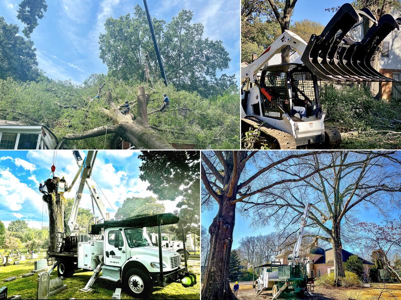 Woodland Tree Service