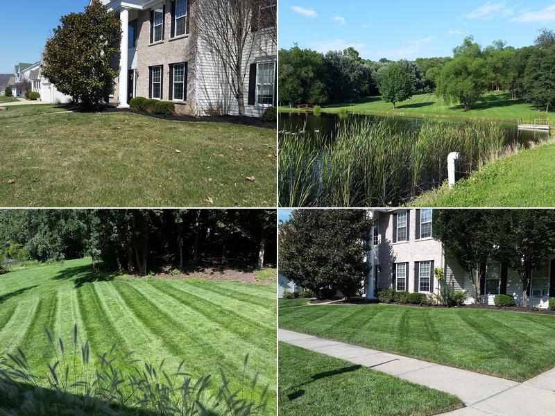 Matt's Outdoor Contracting LLC