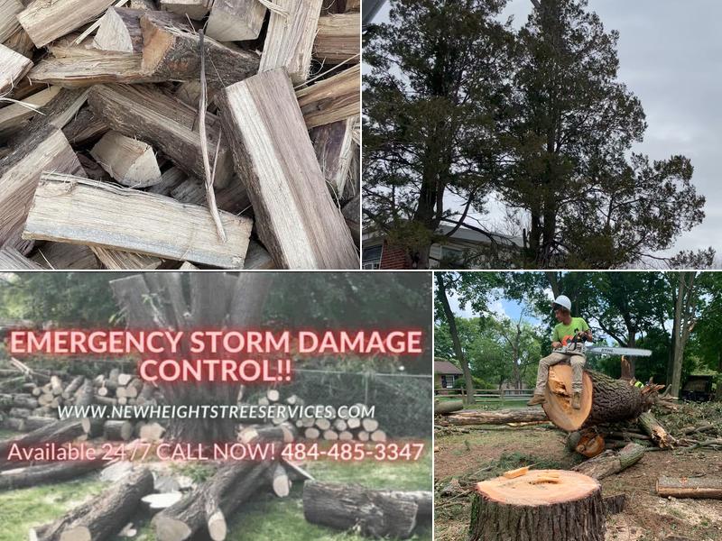 New Heights Tree Service