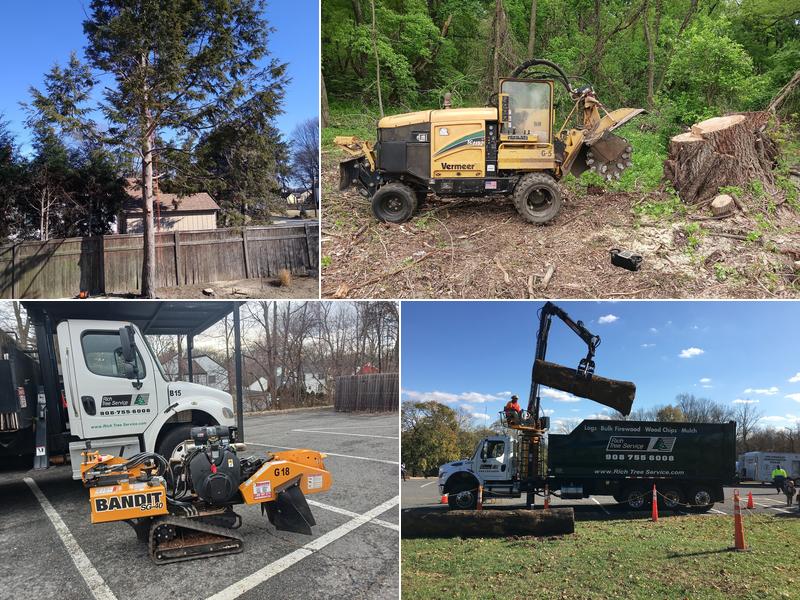 Rich Tree Service, Inc.