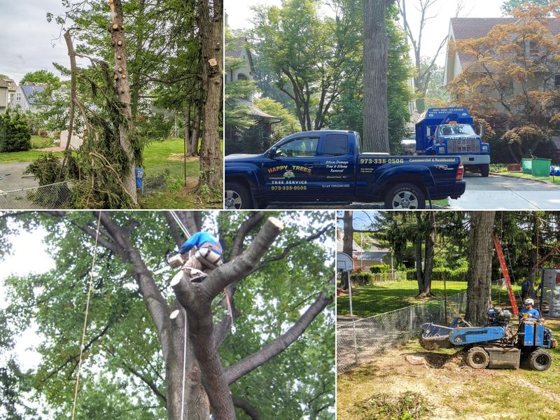 Happy Trees by MGM Tree Service & Landscaping LLC