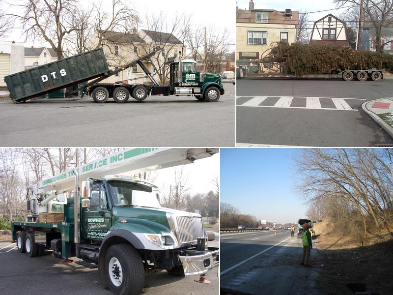 Downes Tree Service, Inc.