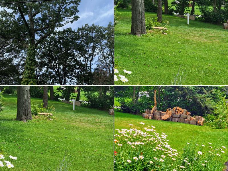 Middenstead Tree Care LLC