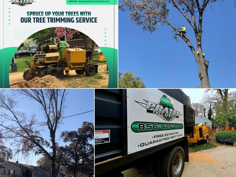 Prate's Tree Service, LLC