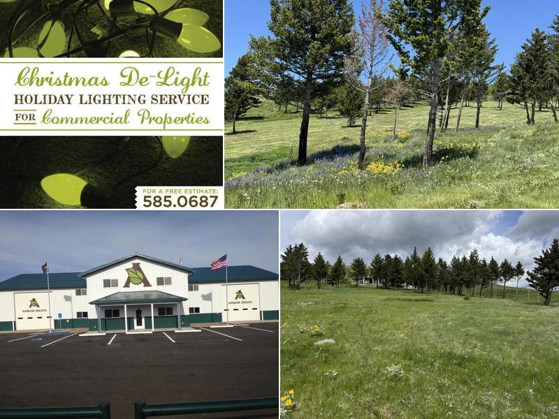 Arbor Medic Tree and Lawn Care