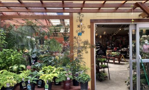 Caras Nursery and Landscape