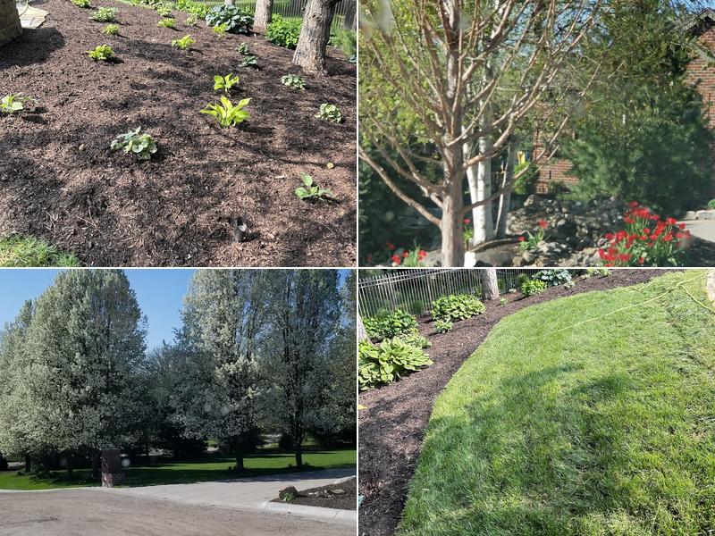 Pat's Irish Green Lawn & Landscaping