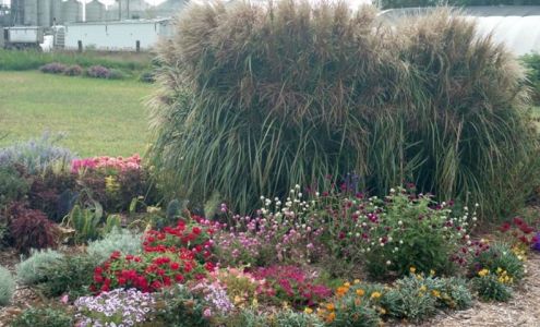 Kennedy Landscape Services LLC 925 4th St, Gothenburg Nebraska 69138