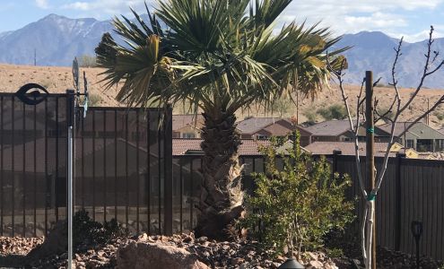 Kokopelli Landscaping, Inc