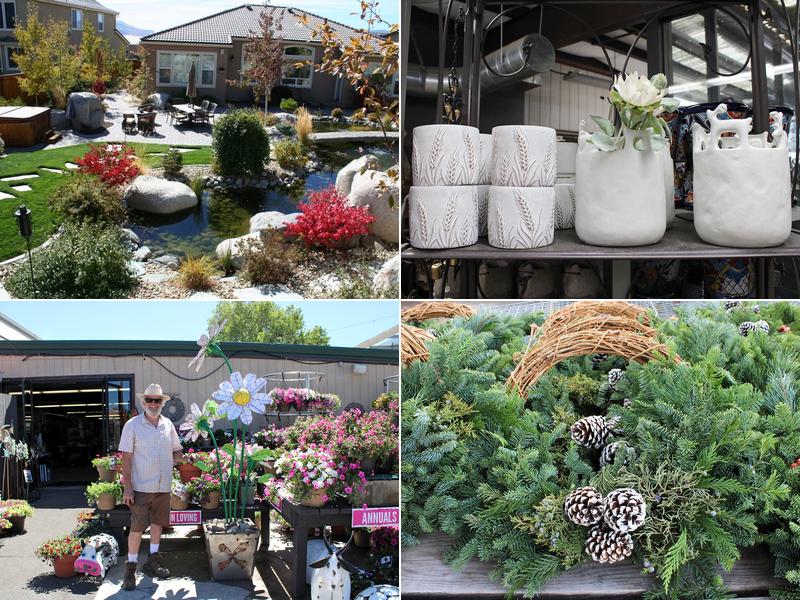 Moana Nursery Landscape Services