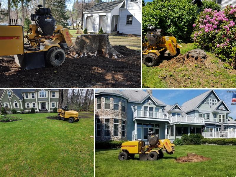 Earth Dynamics Of New England