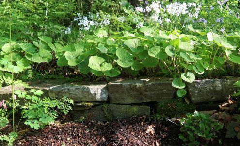 Flying Mammoths Landscape Design