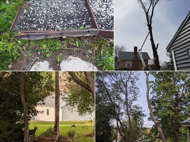 TNT Stump Grinding & Tree Service