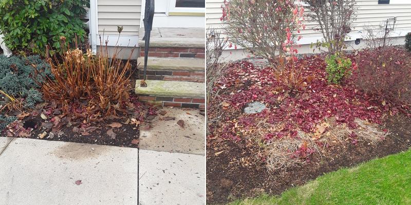 Ultra Green Landscape