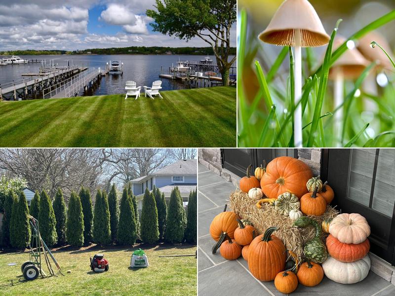 Scanlon's Lawn & Landscape Service Inc.