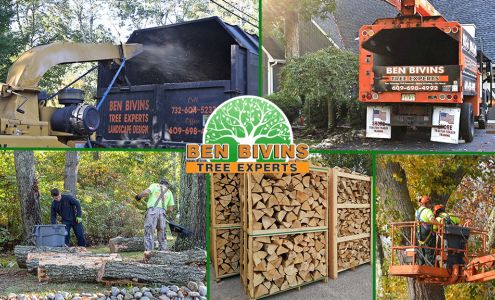 Ben Bivins Tree Experts