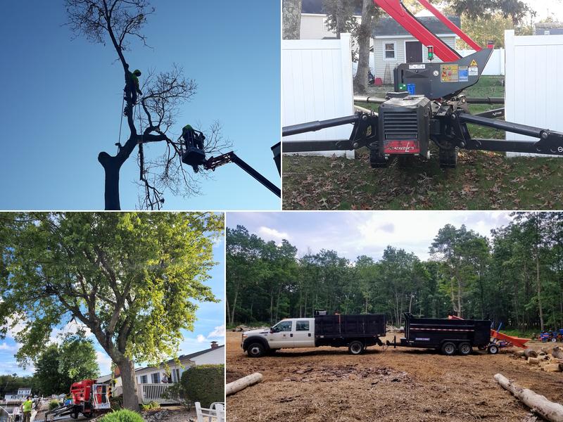 MJM Tree Service & Maintenance