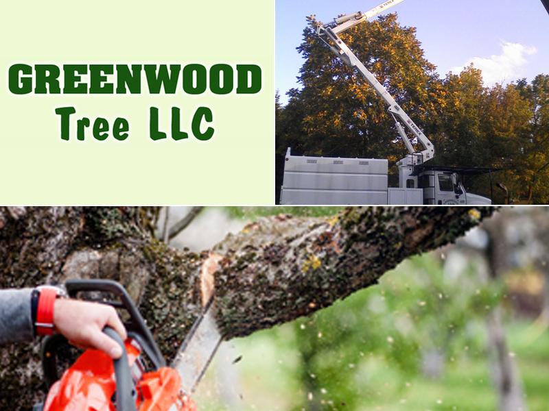 Greenwood Tree Service