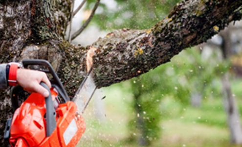 Greenwood Tree Service