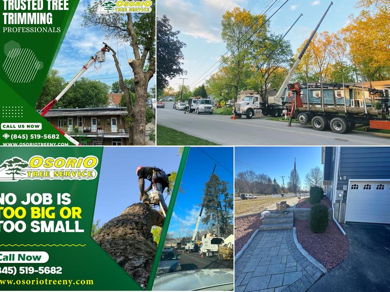Osorio Tree Service