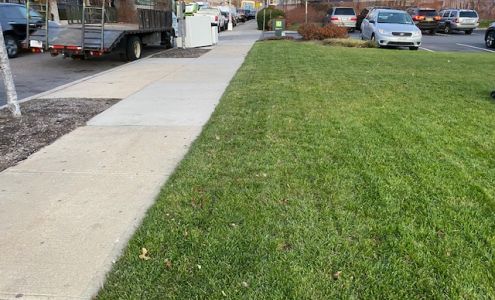 DeSanto Landscaping and Irrigation, LLC