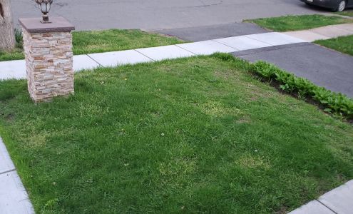 Arizona Landscaping Inc