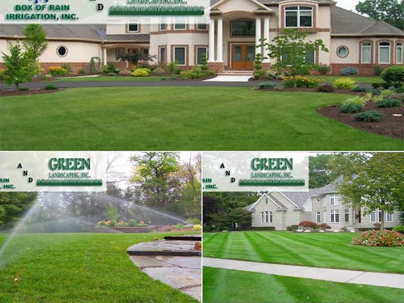 Box of Rain Irrigation