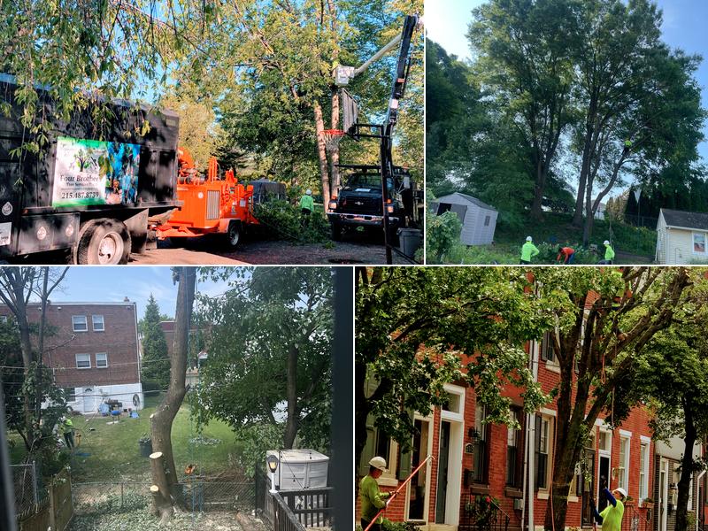 Four Brothers Tree Service Inc.