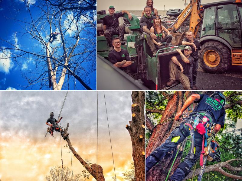 Baylor's Top Notch Tree Service, LLC