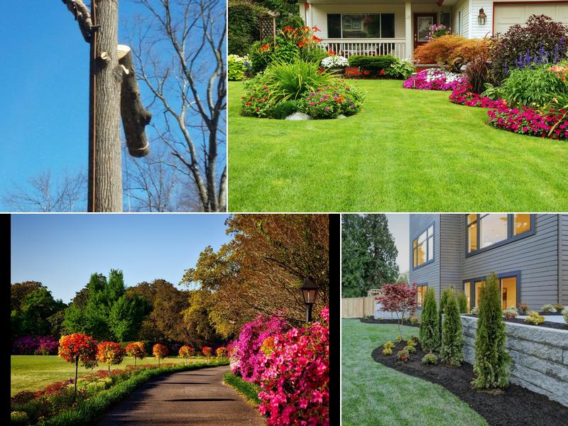 M2 Landscaping, Tree Services